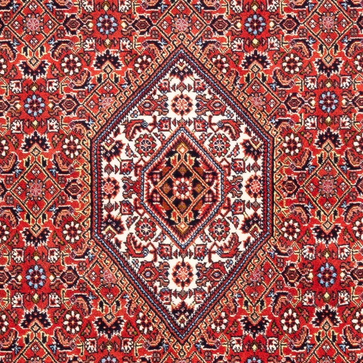 Tappeto Persero - Bidjar - 174 x 108 cm - rosso