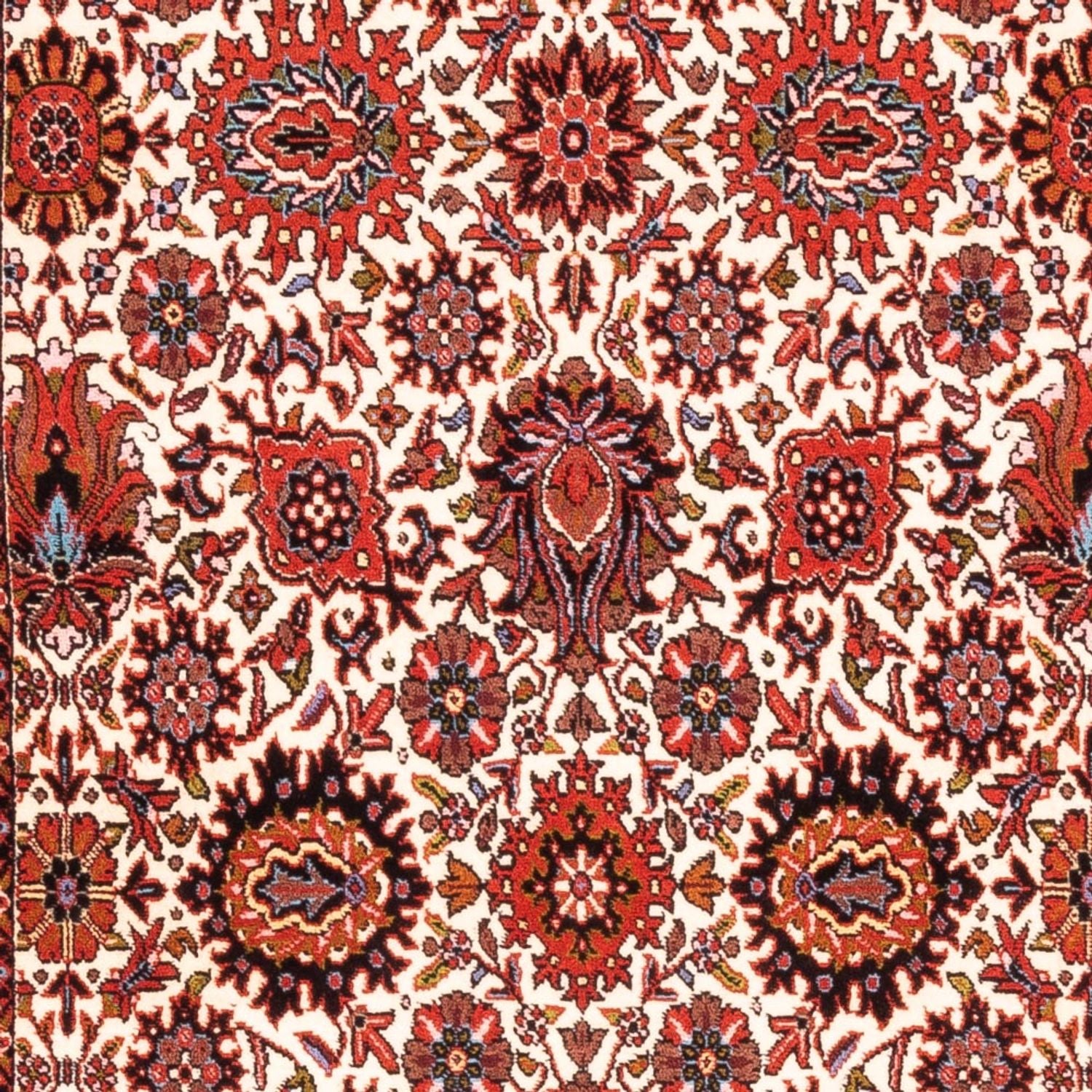 Tappeto corsia Tappeto Persero - Bidjar - 183 x 104 cm - crema