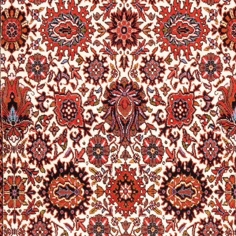 Tappeto corsia Tappeto Persero - Bidjar - 183 x 104 cm - crema