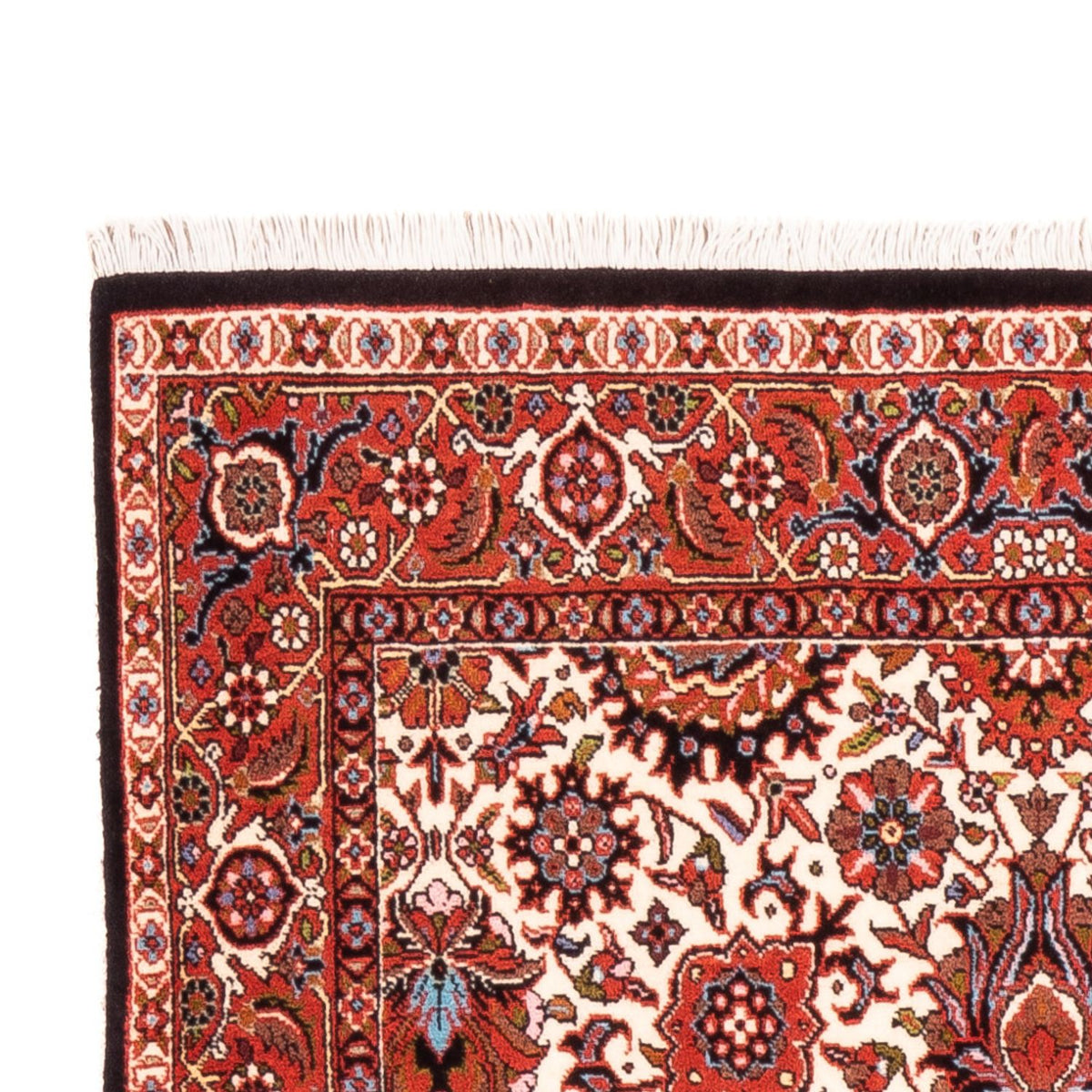 Tappeto corsia Tappeto Persero - Bidjar - 183 x 104 cm - crema