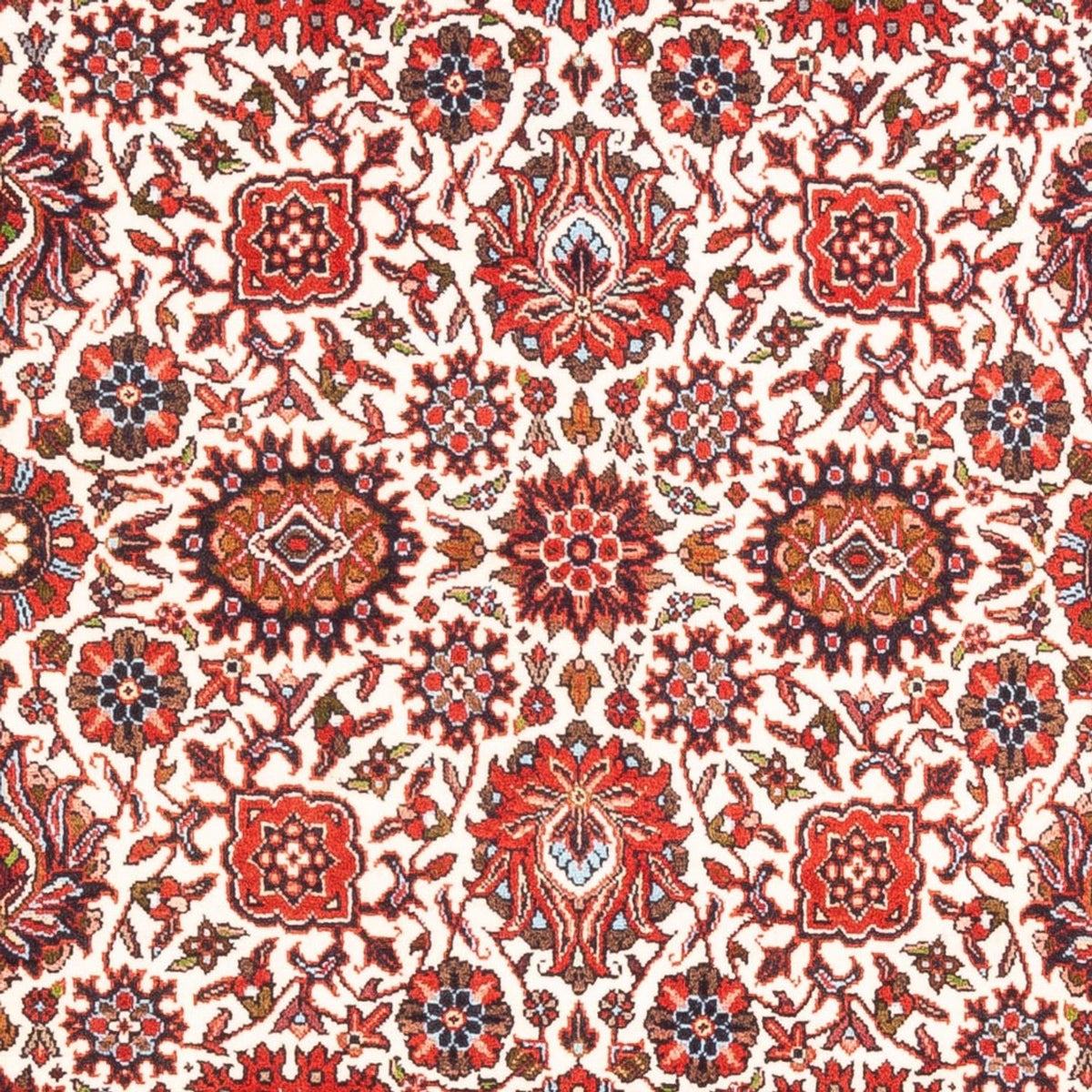 Tappeto Persero - Bidjar - 177 x 110 cm - crema