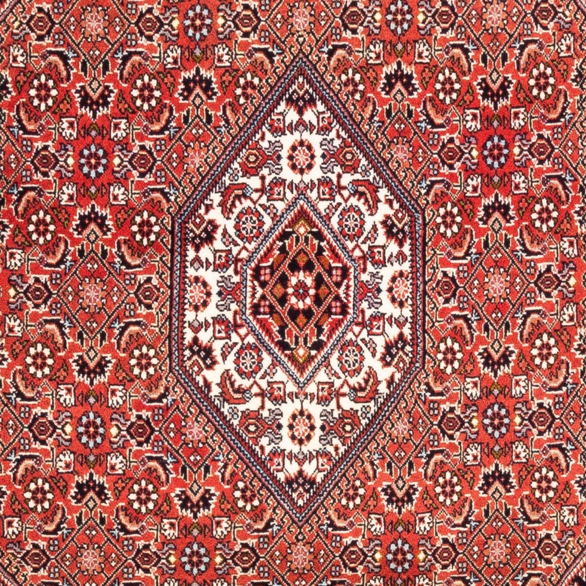 Tappeto Persero - Bidjar - 188 x 112 cm - rosso