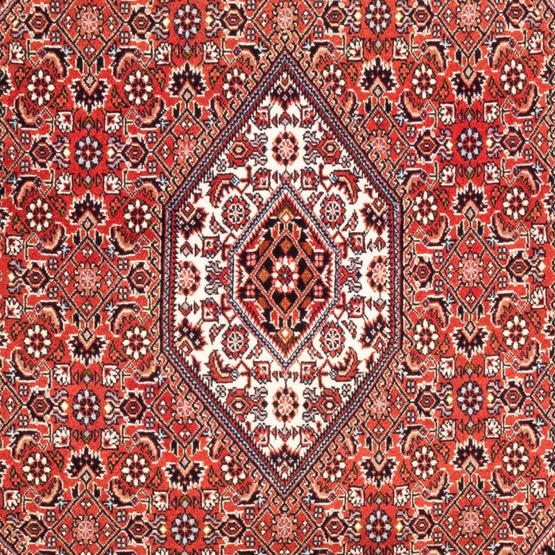 Tappeto Persero - Bidjar - 188 x 112 cm - rosso