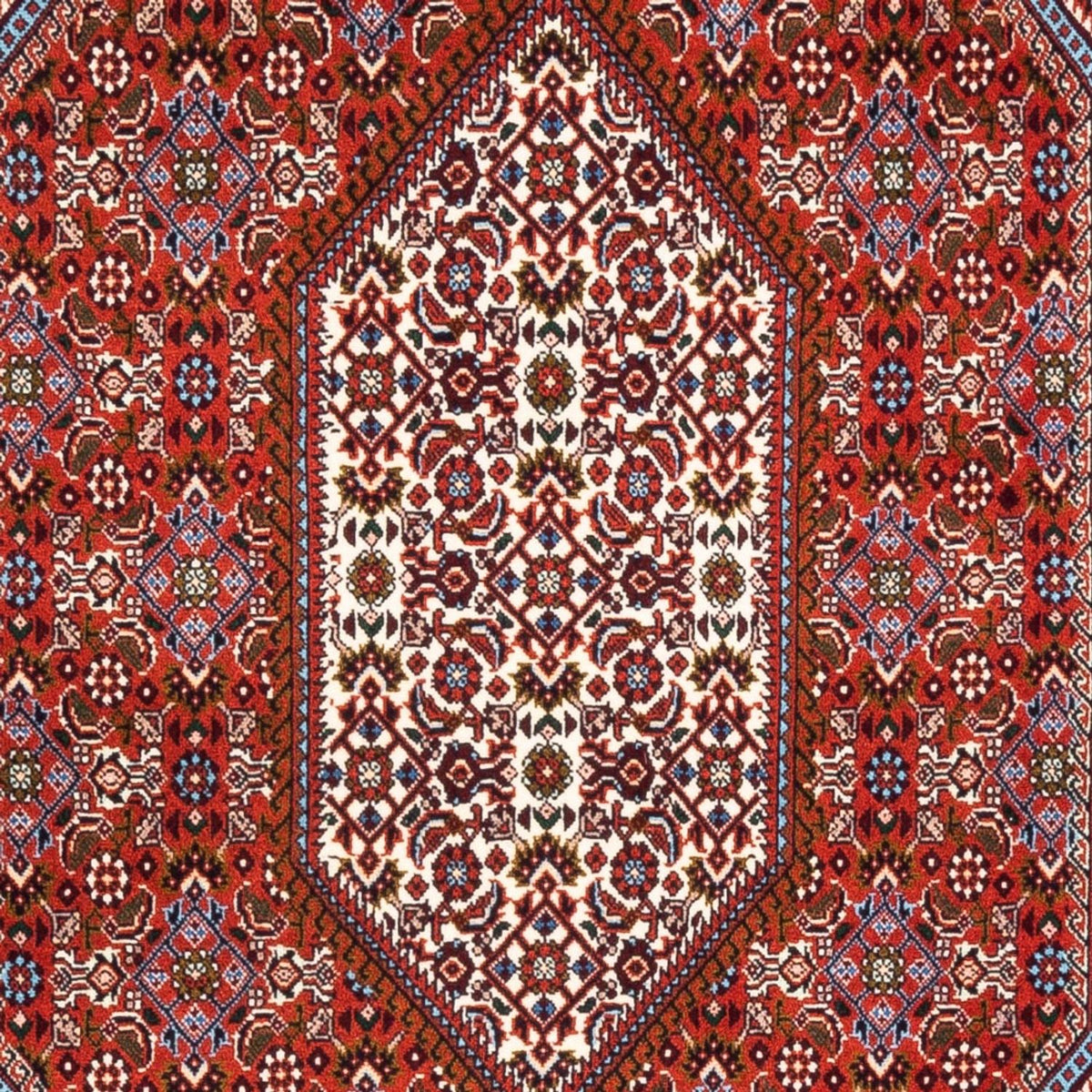 Tappeto Persero - Bidjar - 182 x 110 cm - rosso