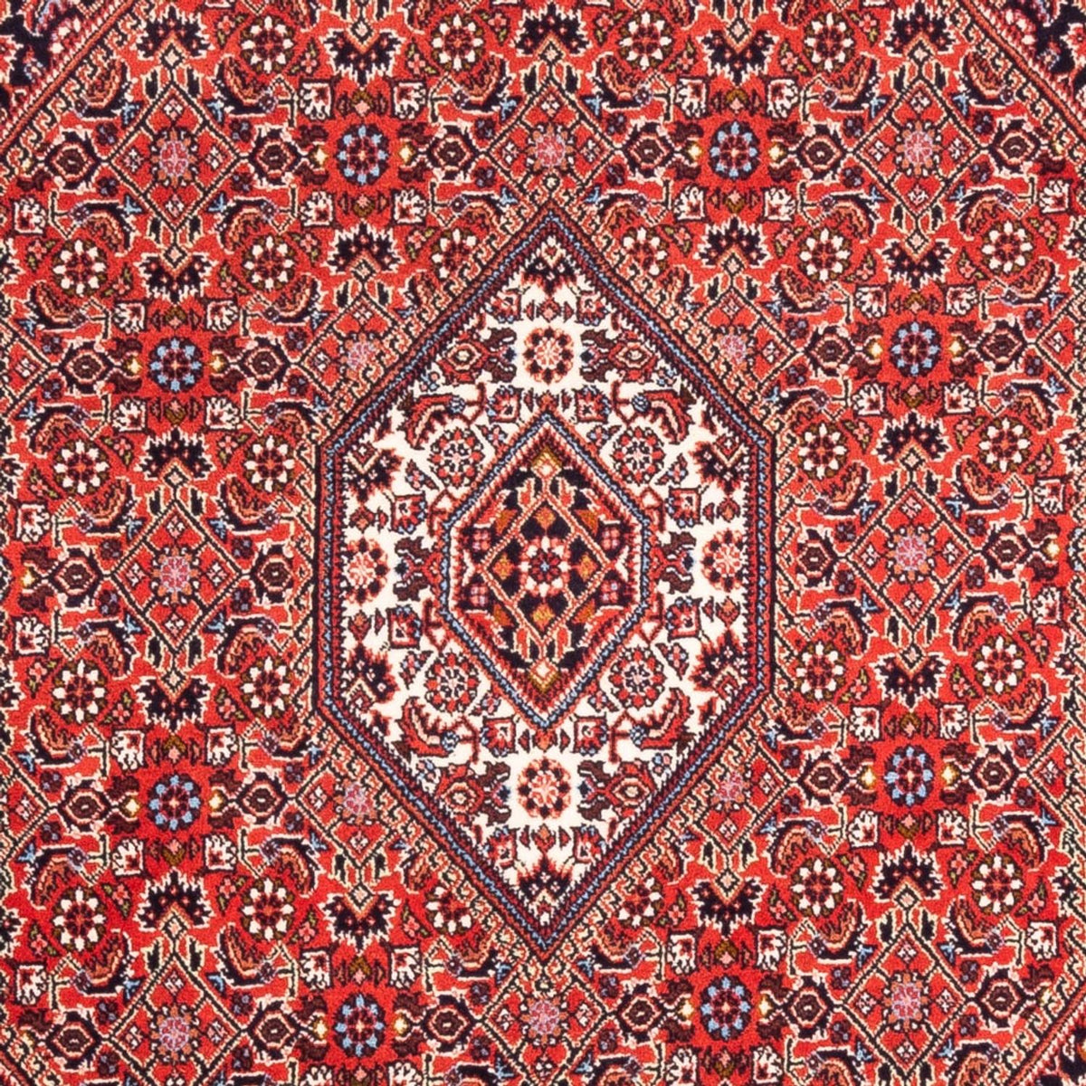 Tappeto Persero - Bidjar - 180 x 108 cm - rosso