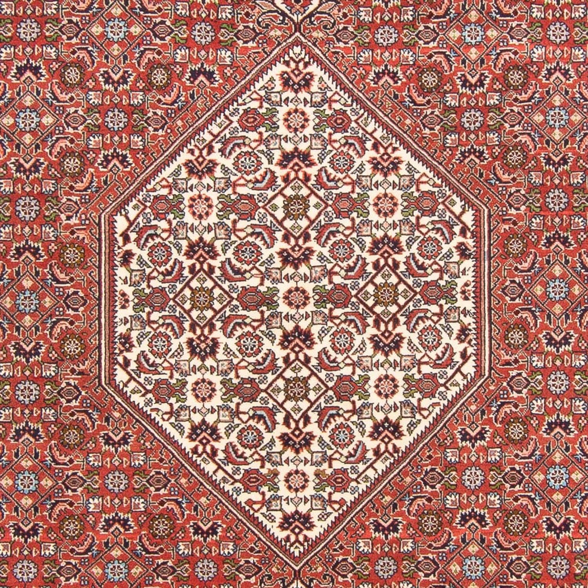 Tappeto Persero - Bidjar - 291 x 194 cm - rosso