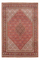 Bidjar - Bukan Tappeto 294x200cm - Tappeto persiano