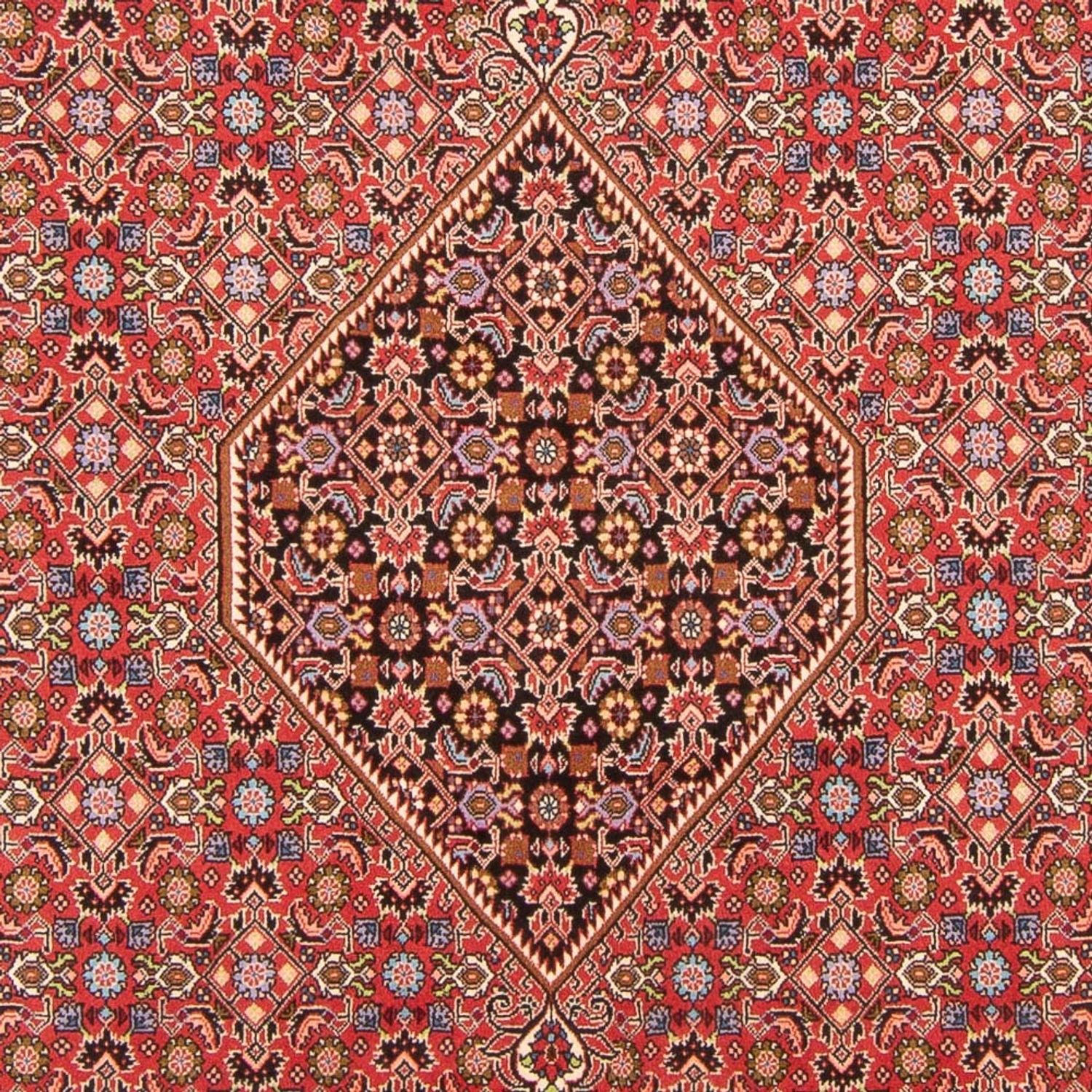 Tappeto Persero - Bidjar - 294 x 200 cm - rosso