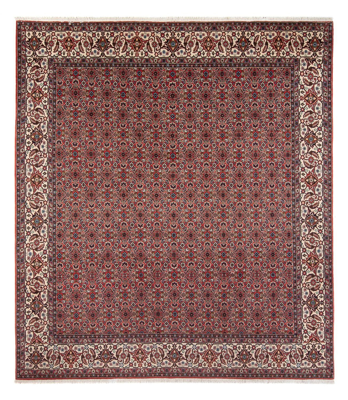 Tappeto Persero - Bidjar - 296 x 248 cm - rosso scuro