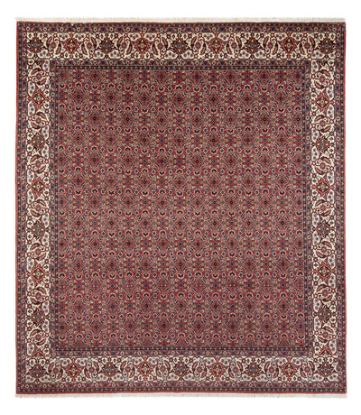 Bidjar - Bukan Tappeto 248x296cm - Tappeto persiano