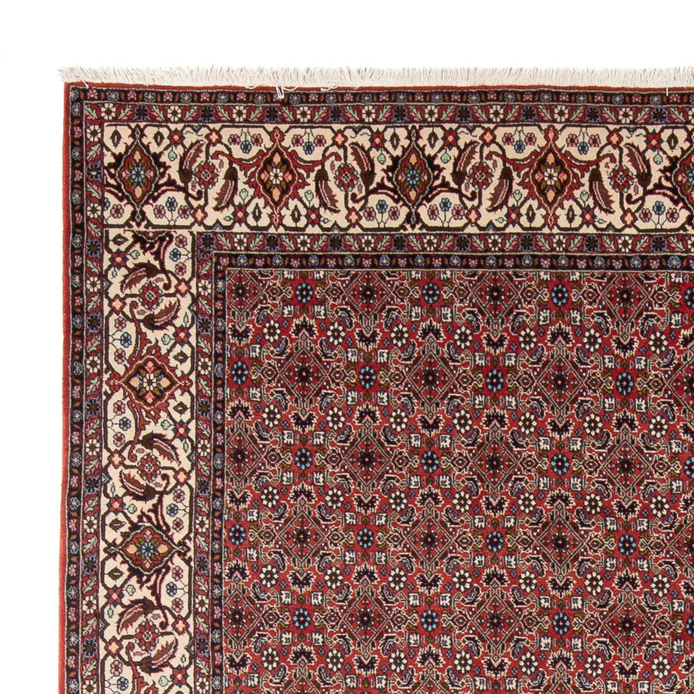 Bidjar - Bukan Tappeto 296x248cm - Tappeto persiano