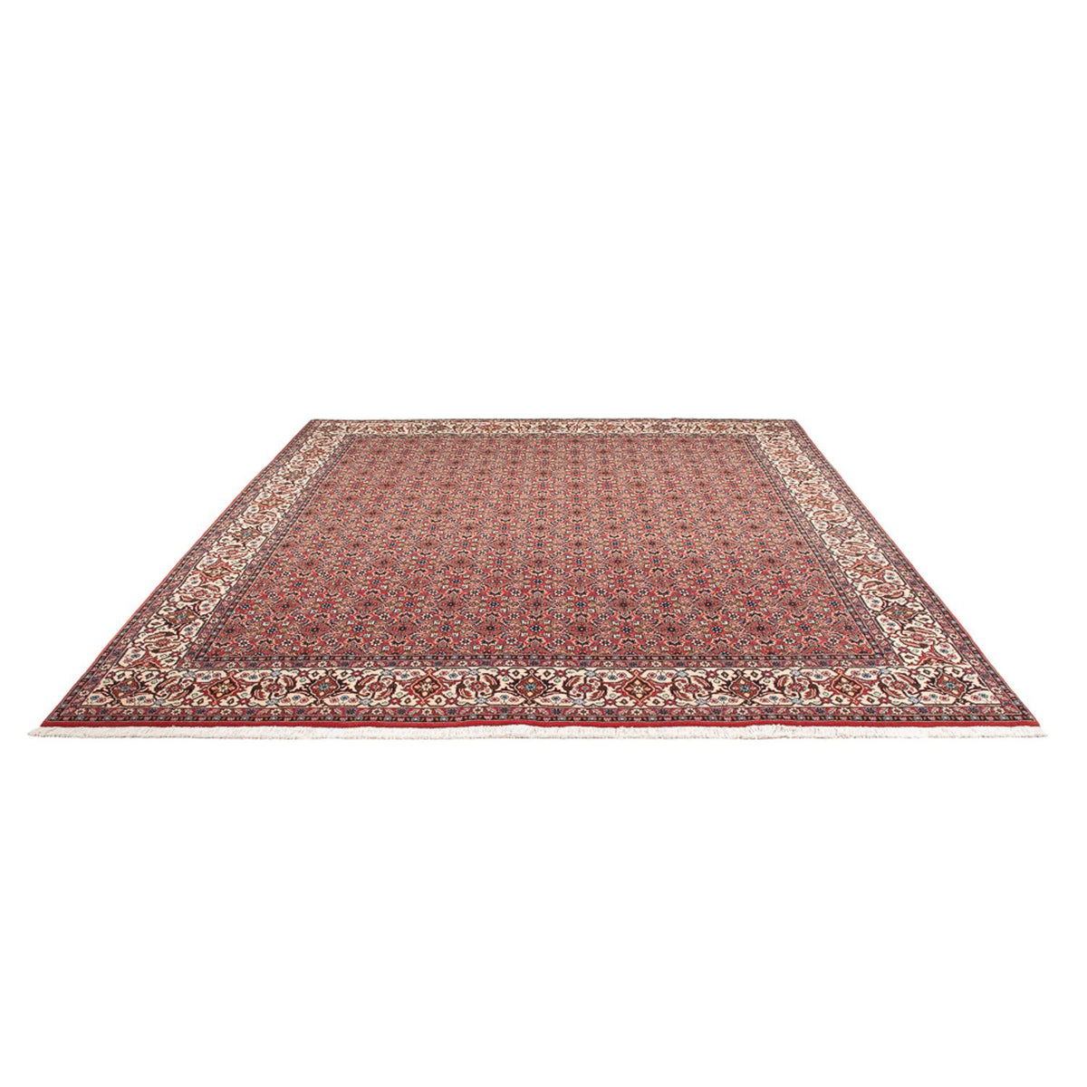 Tappeto Persero - Bidjar - 296 x 248 cm - rosso scuro