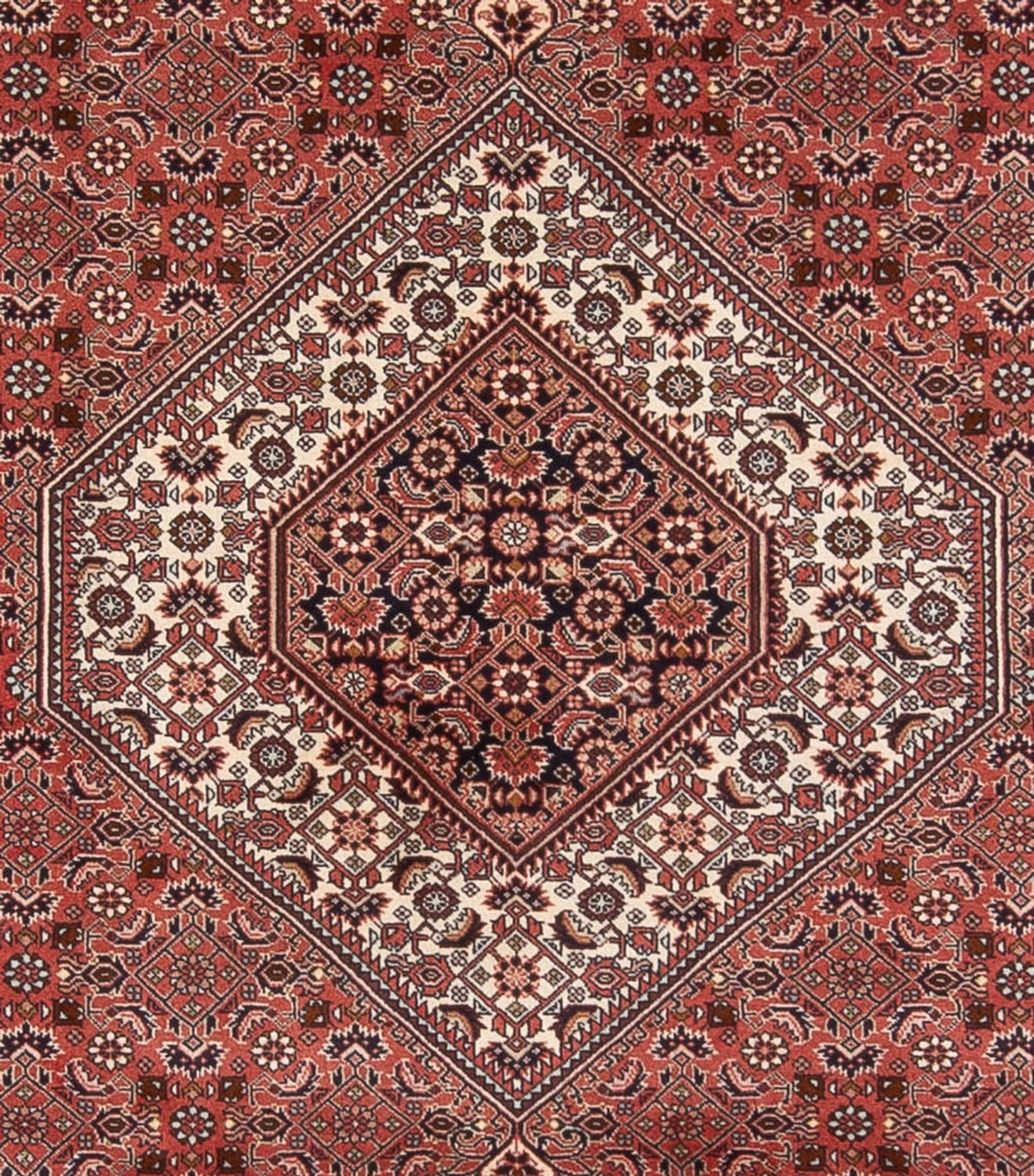 Tappeto Persero - Bidjar - 333 x 247 cm - rosso scuro