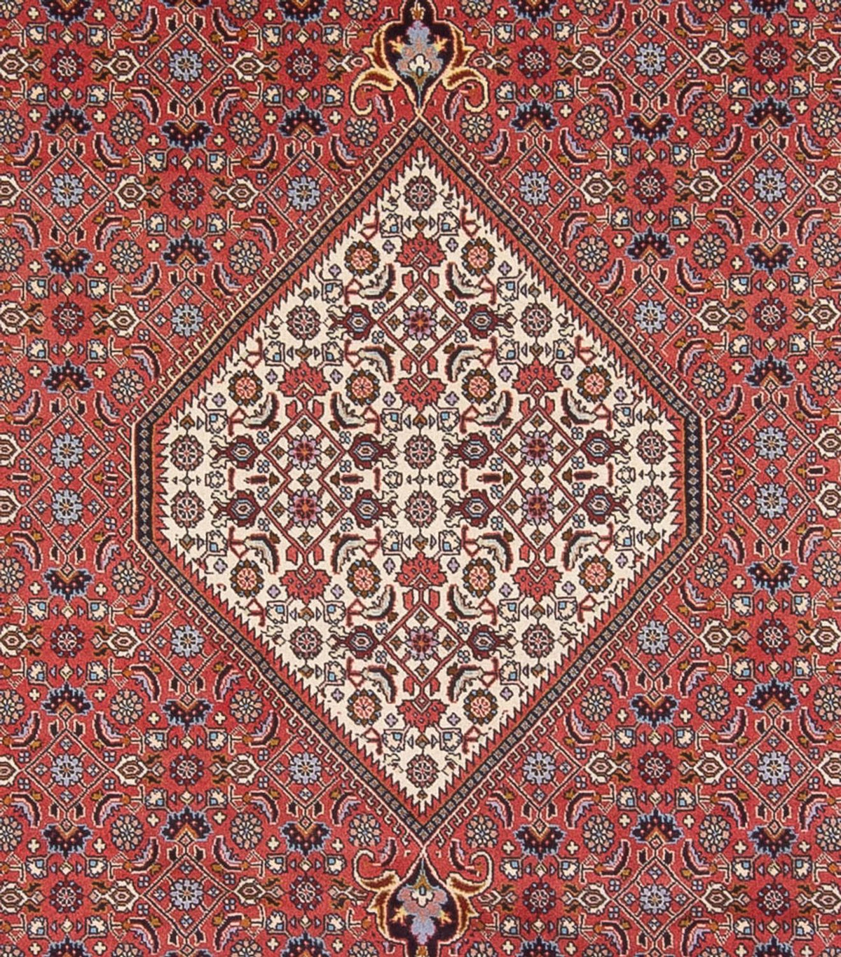 Tappeto Persero - Bidjar - 337 x 250 cm - rosso scuro