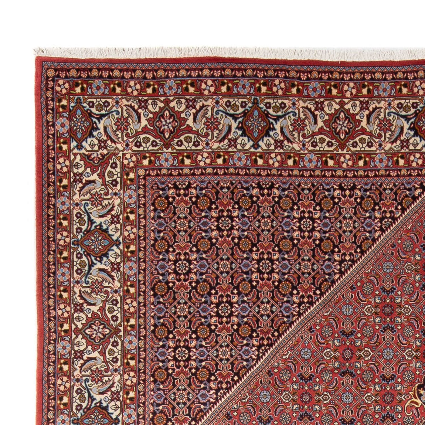 Bidjar - Bukan Tappeto 337x250cm - Tappeto persiano