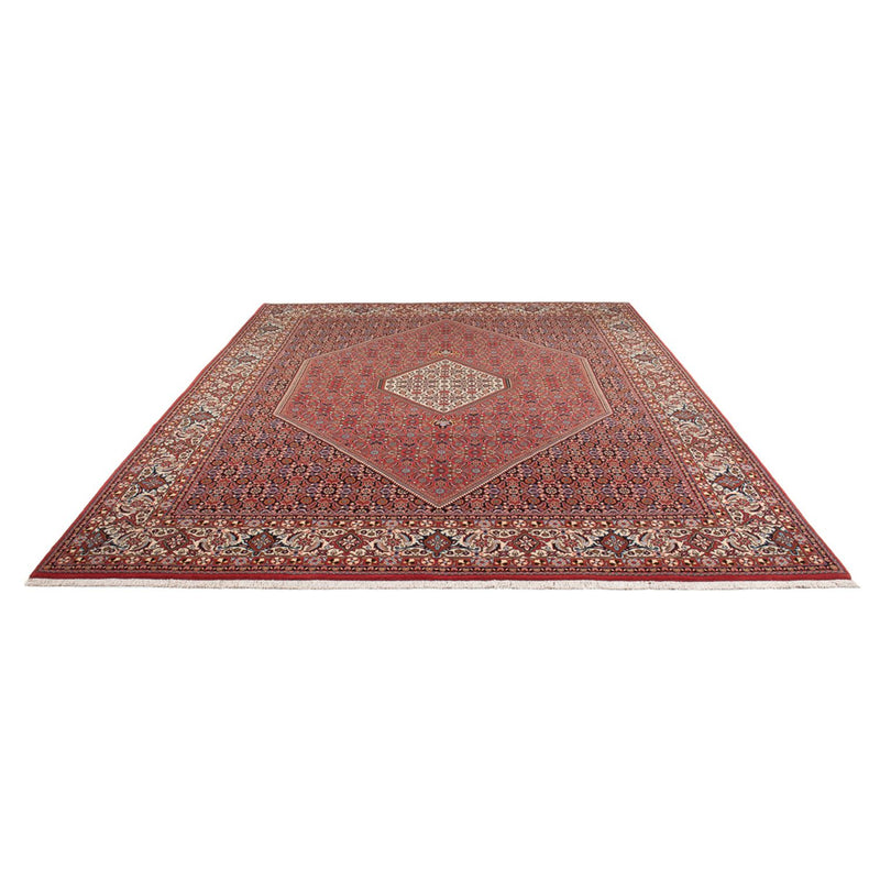 Tappeto Persero - Bidjar - 337 x 250 cm - rosso scuro