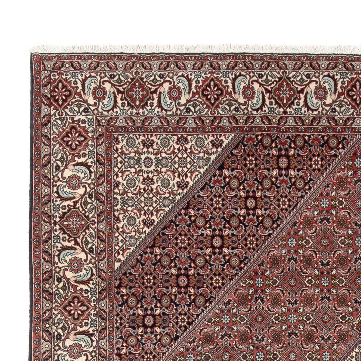 Bidjar - Bukan Tappeto 247x344cm - Tappeto persiano