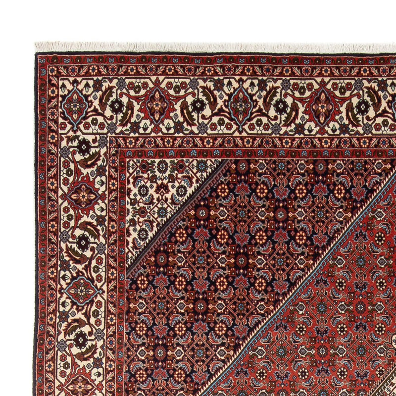 Tappeto Persero - Bidjar - 290 x 243 cm - ruggine