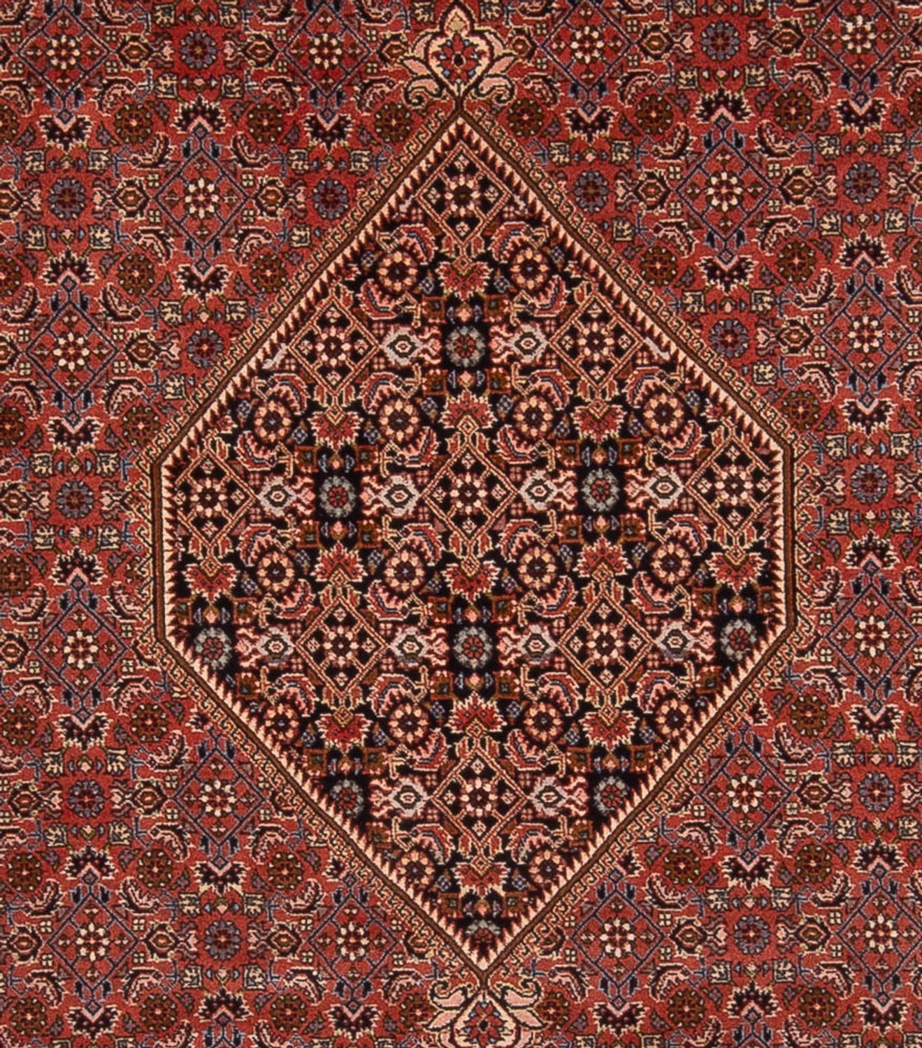 Tappeto Persero - Bidjar - 344 x 250 cm - ruggine