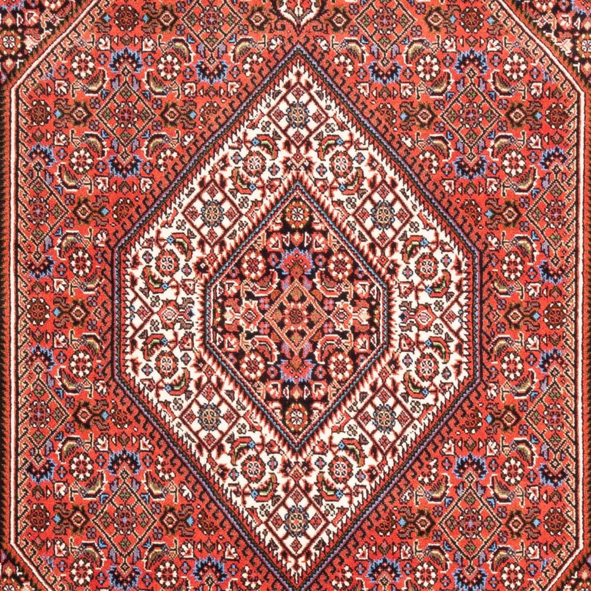 Tappeto Persero - Bidjar - 186 x 112 cm - rosso