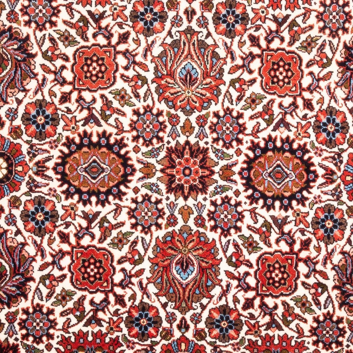 Tappeto Persero - Bidjar - 172 x 108 cm - crema