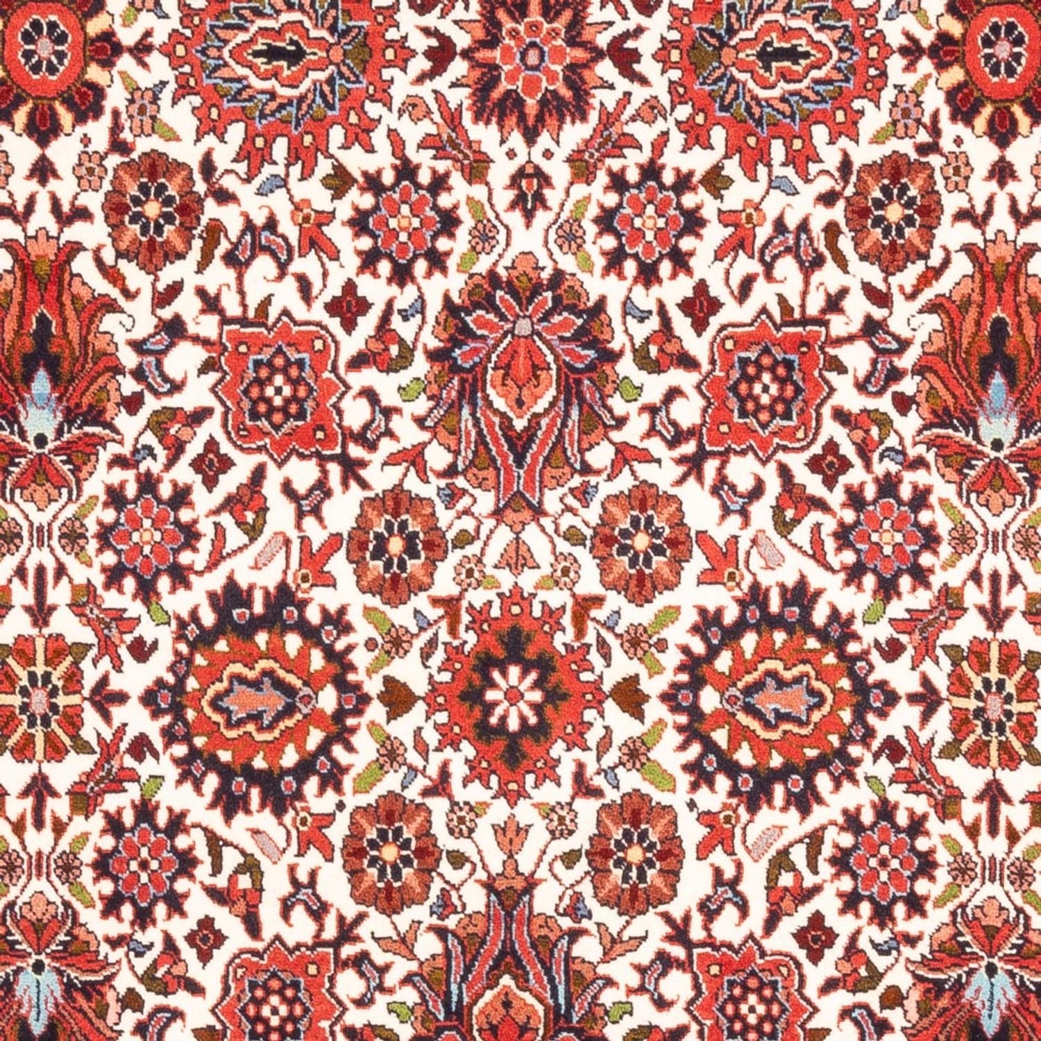 Tappeto Persero - Bidjar - 182 x 108 cm - crema