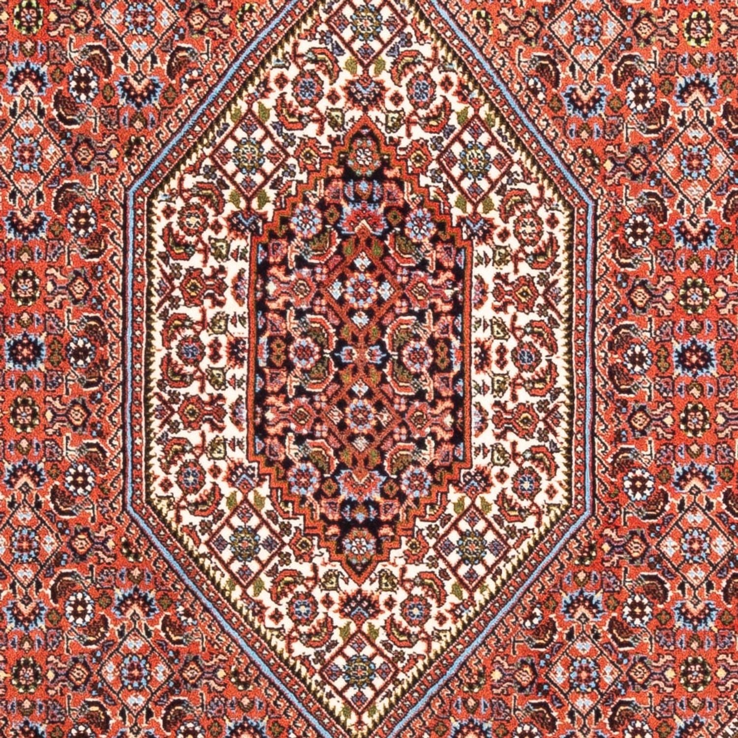 Tappeto Persero - Bidjar - 170 x 108 cm - rosso
