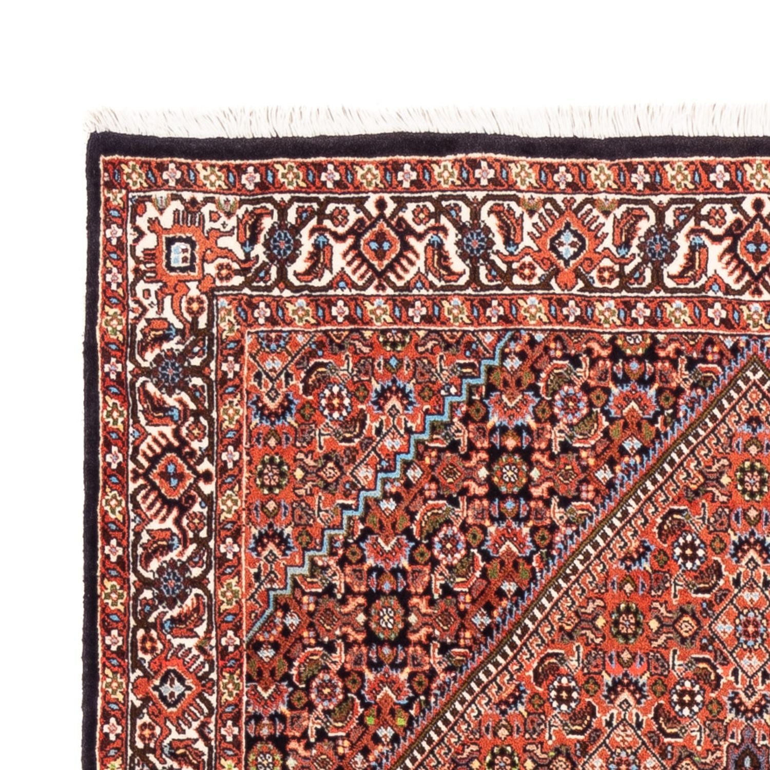 Tappeto Persero - Bidjar - 170 x 108 cm - rosso