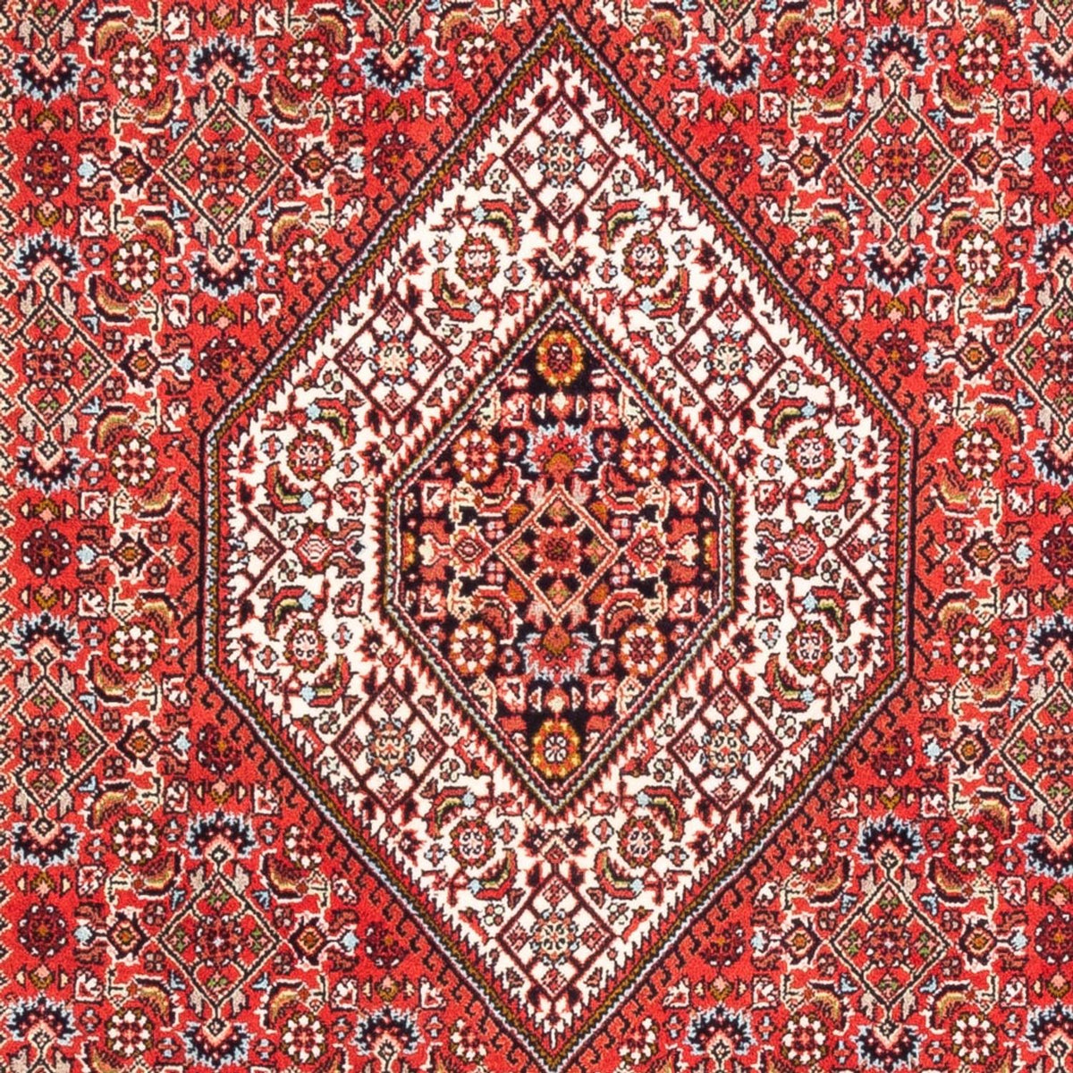 Tappeto Persero - Bidjar - 180 x 110 cm - rosso