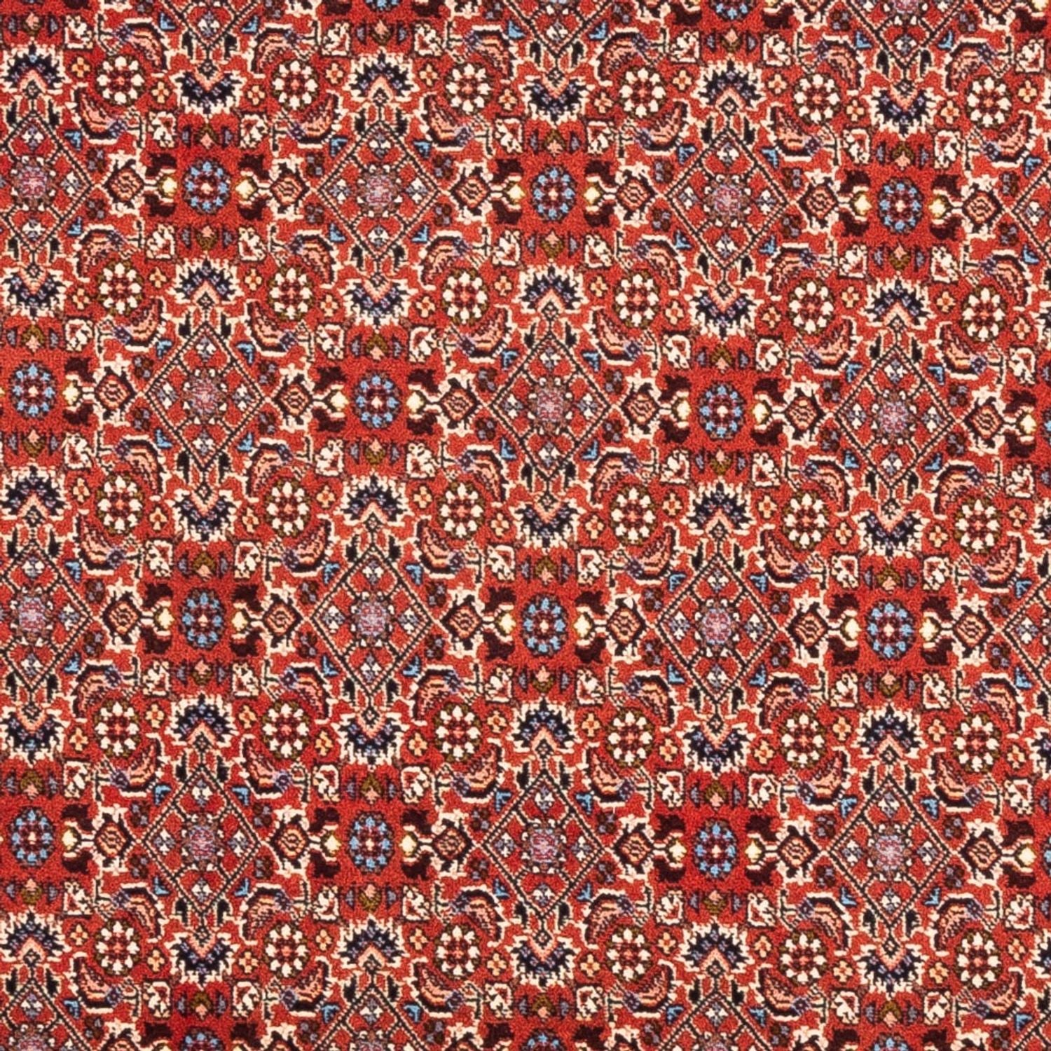 Tappeto Persero - Bidjar - 180 x 110 cm - rosso
