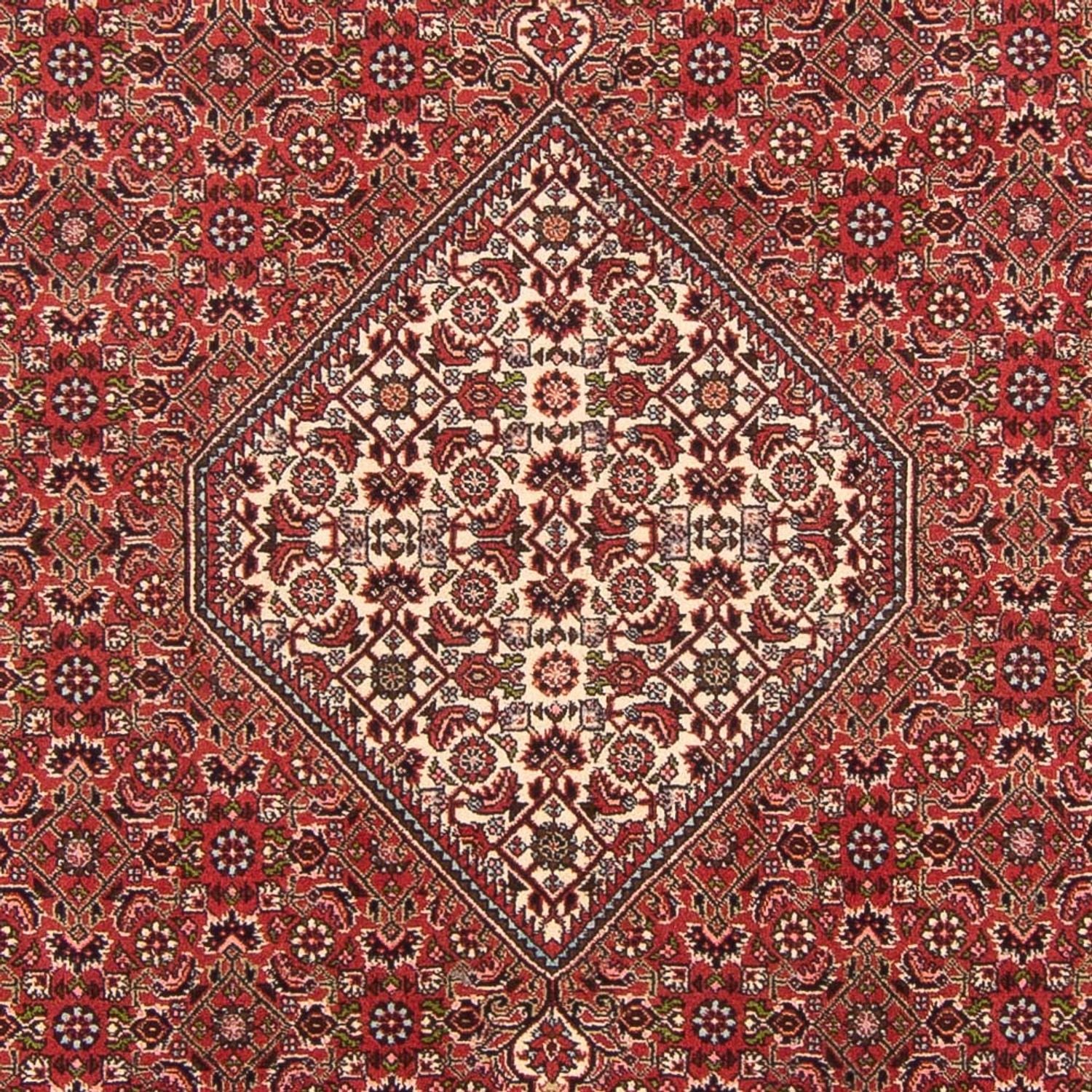 Tappeto Persero - Bidjar - 290 x 202 cm - rosso