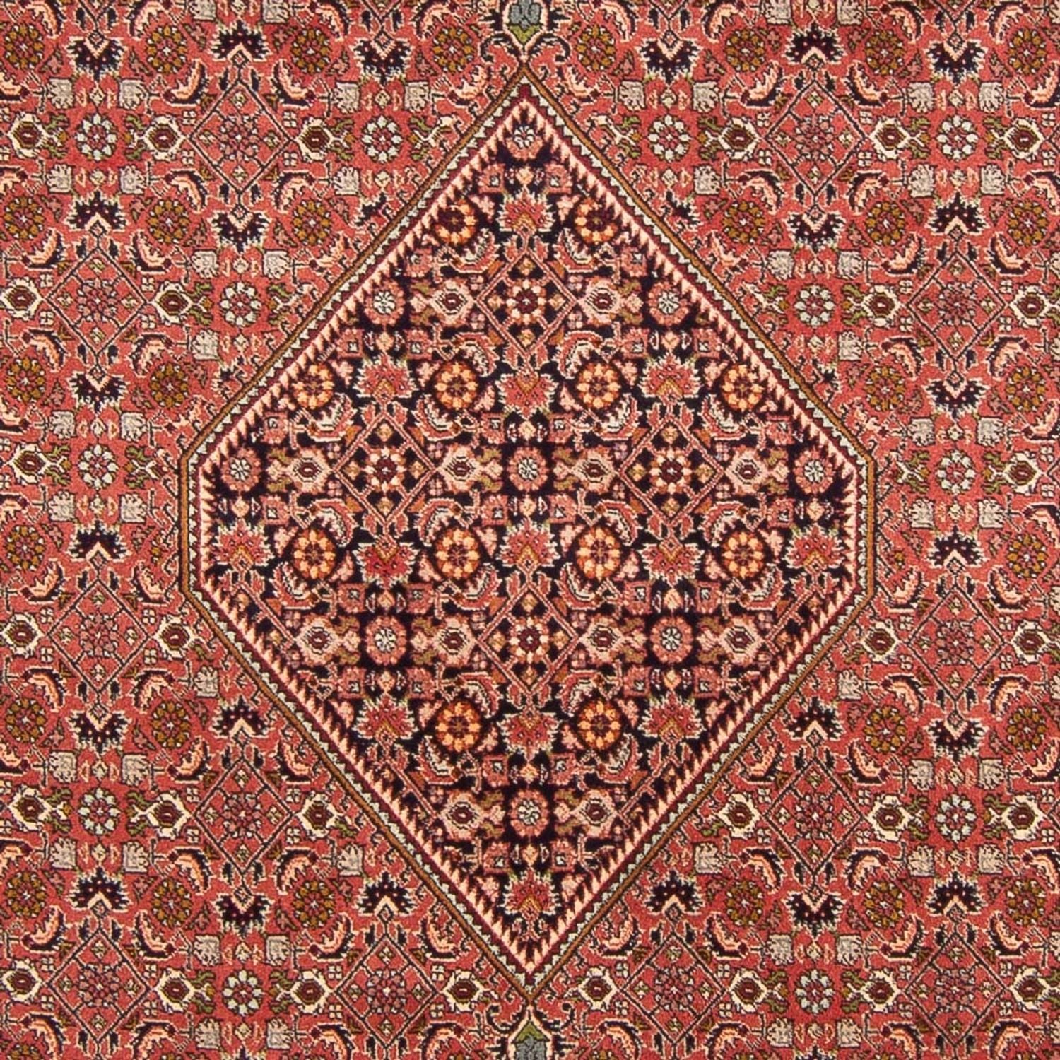Tappeto Persero - Bidjar - 300 x 200 cm - rosso