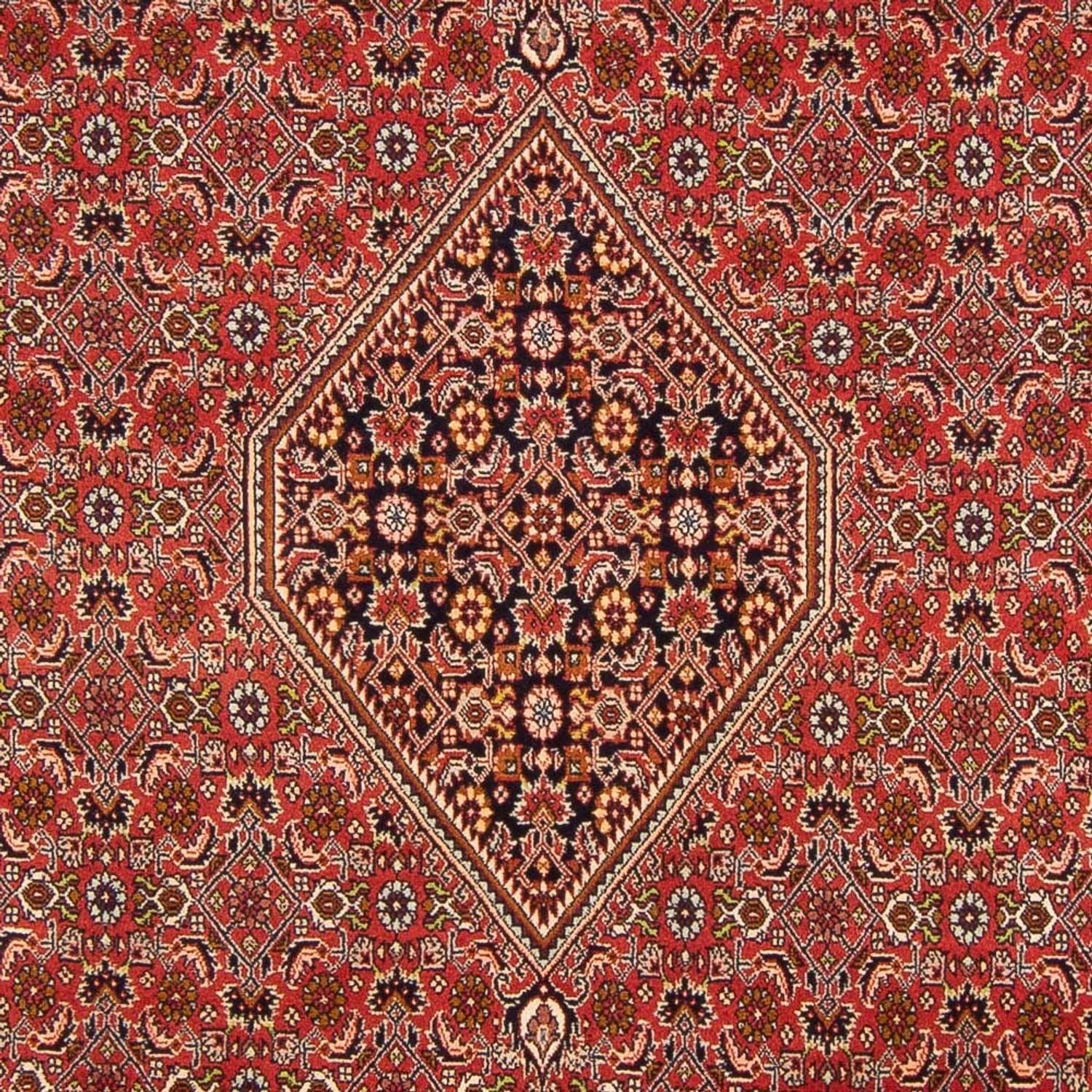 Tappeto Persero - Bidjar - 290 x 200 cm - rosso