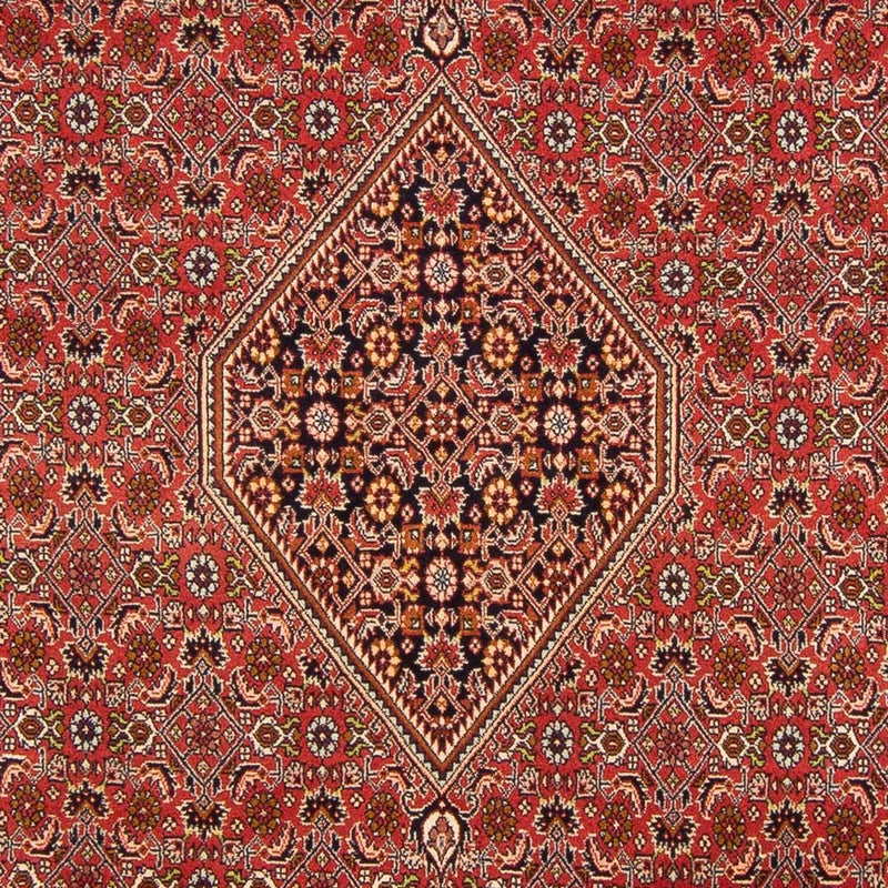 Tappeto Persero - Bidjar - 290 x 200 cm - rosso