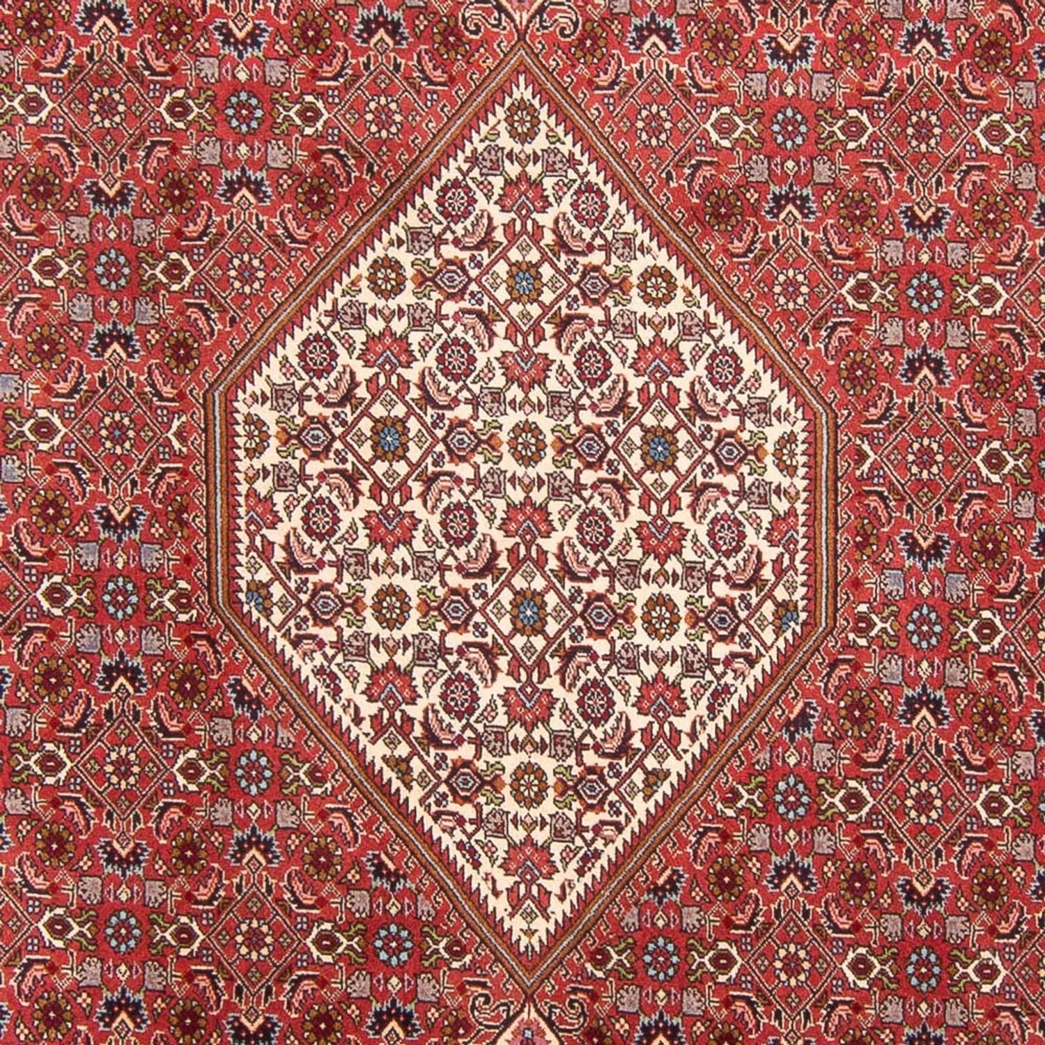 Tappeto Persero - Bidjar - 310 x 203 cm - rosso
