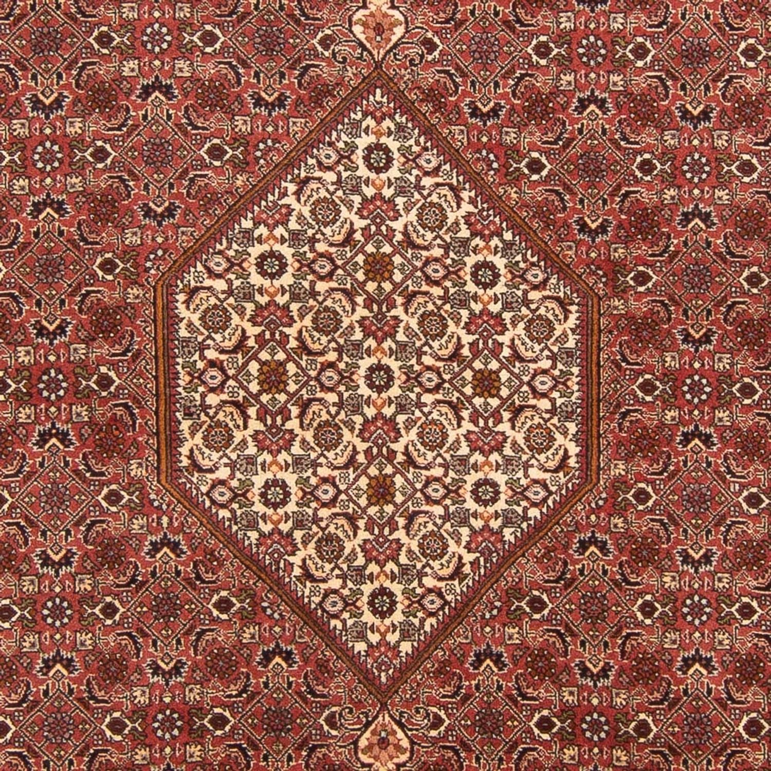 Tappeto Persero - Bidjar - 292 x 200 cm - rosso