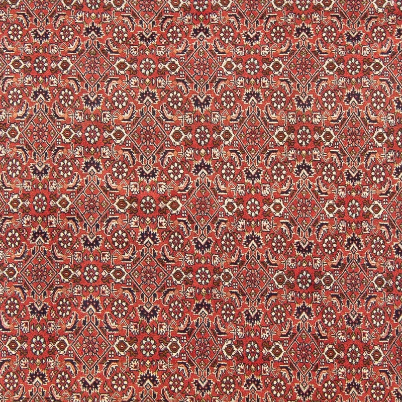 Tappeto Persero - Bidjar - 305 x 200 cm - rosso