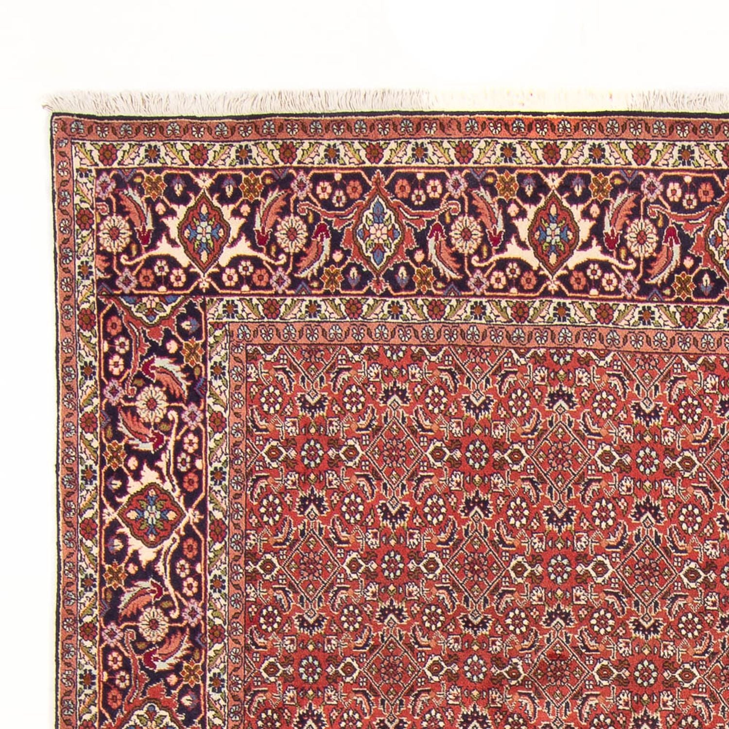 Tappeto Persero - Bidjar - 305 x 200 cm - rosso