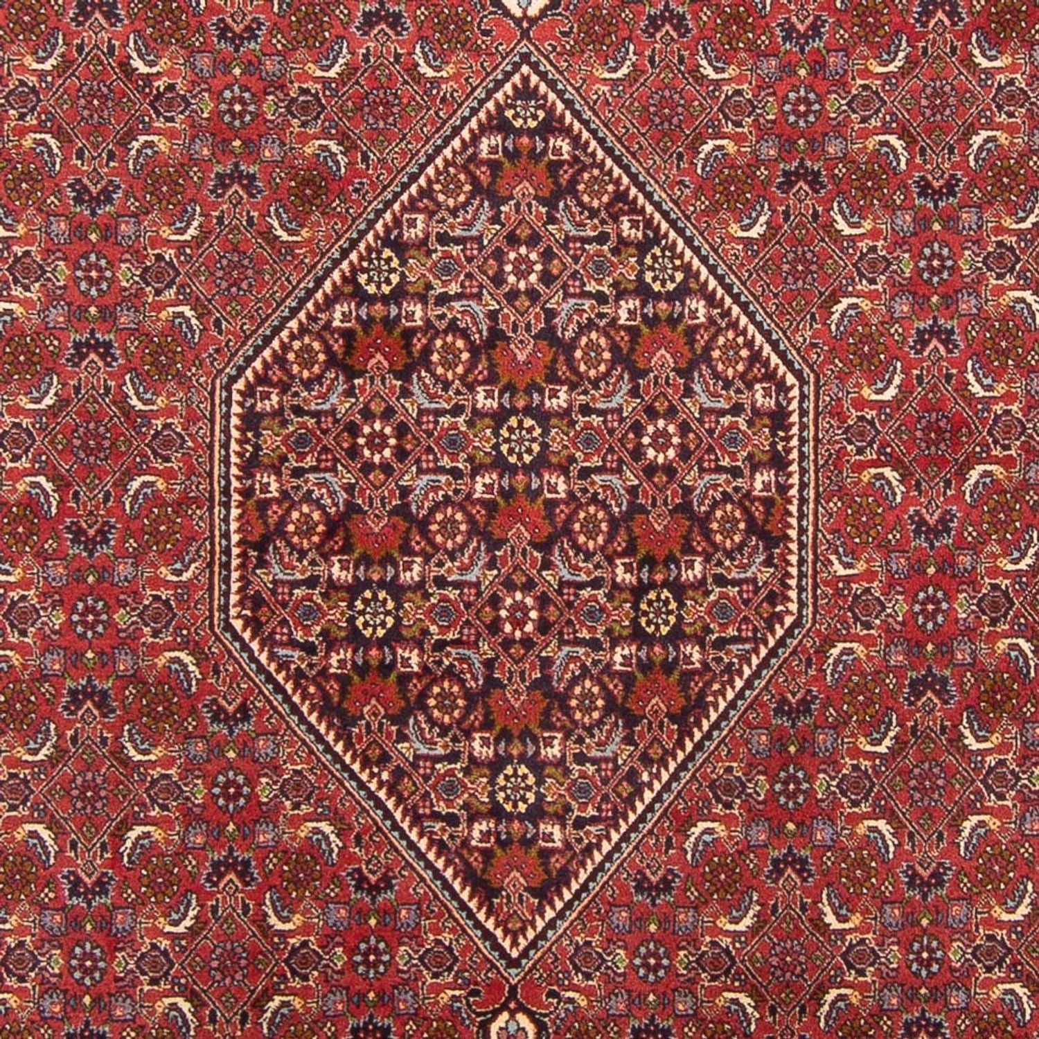 Tappeto Persero - Bidjar - 301 x 200 cm - rosso