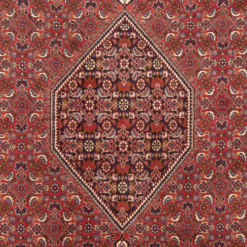 Tappeto Persero - Bidjar - 301 x 200 cm - rosso