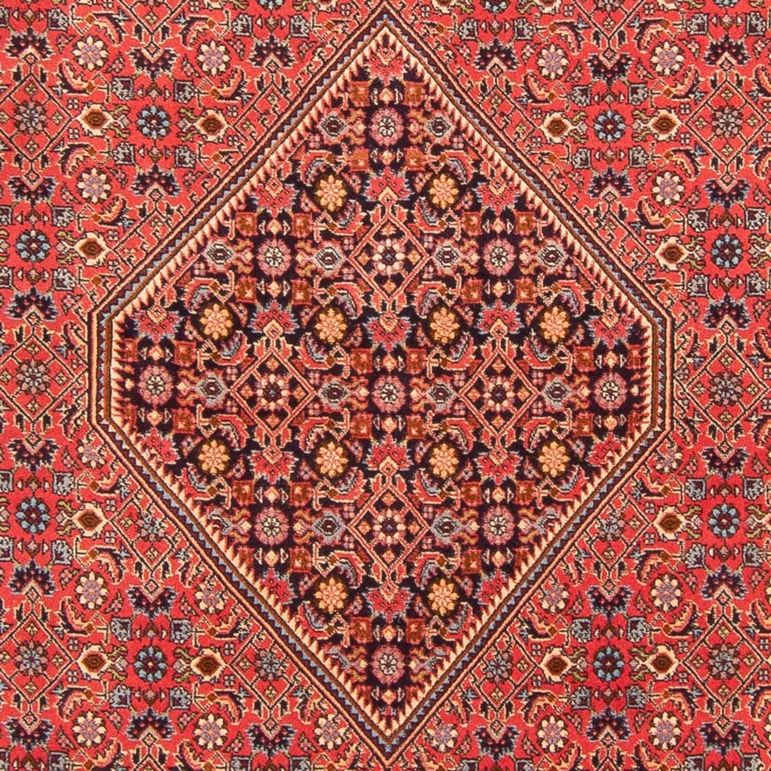 Tappeto Persero - Bidjar - 260 x 200 cm - rosso