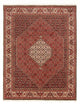 Bidjar - Bukan Tappeto 260x200cm - Tappeto persiano