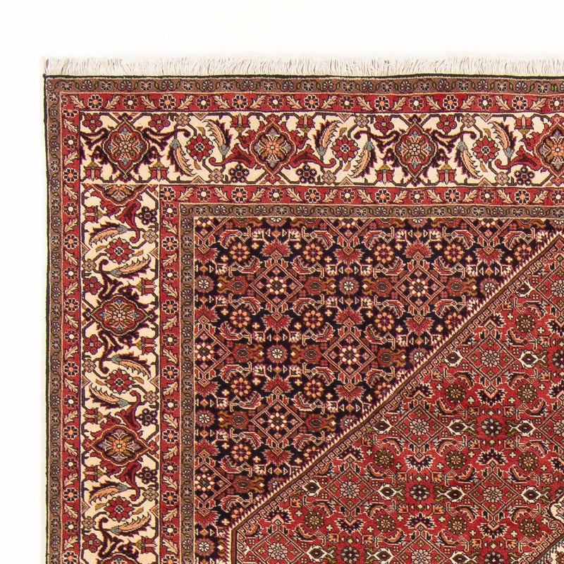 Tappeto Persero - Bidjar - 260 x 200 cm - rosso