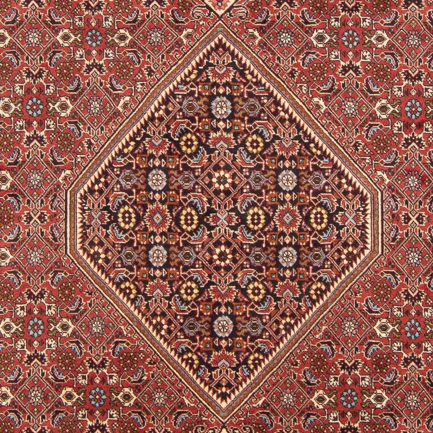Tappeto Persero - Bidjar - 307 x 203 cm - rosso