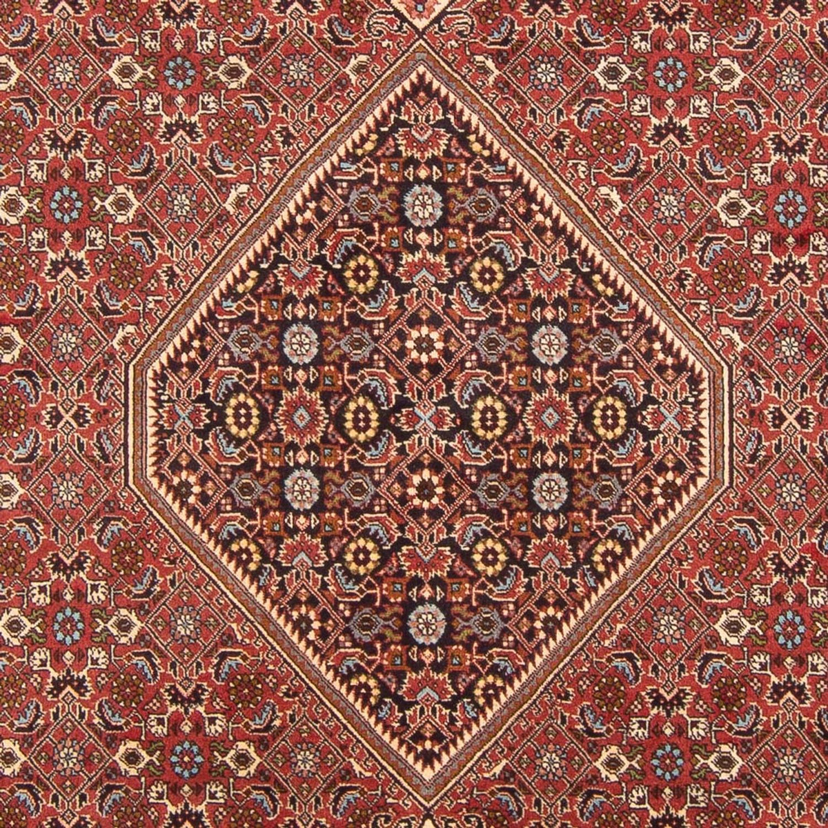 Tappeto Persero - Bidjar - 307 x 203 cm - rosso