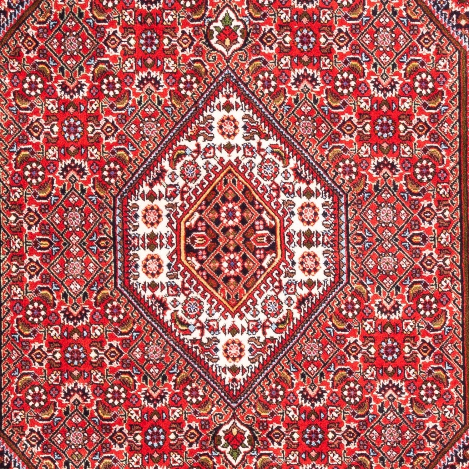 Tappeto Persero - Bidjar - 170 x 110 cm - rosso