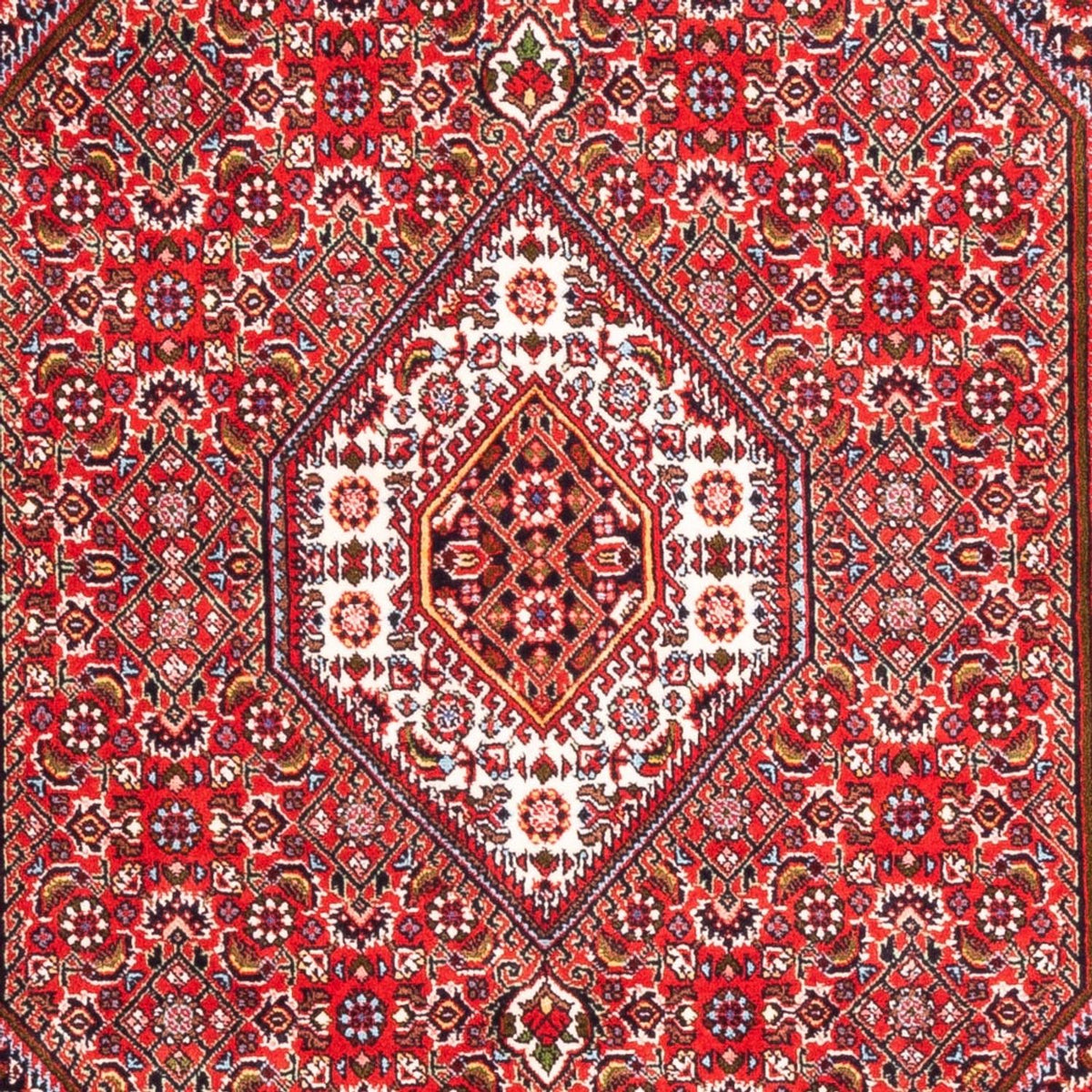 Tappeto Persero - Bidjar - 170 x 110 cm - rosso