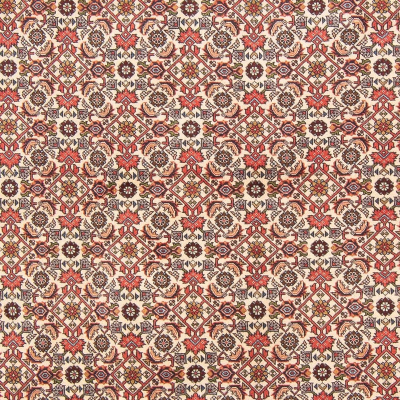 Tappeto Persero - Bidjar - 294 x 200 cm - crema