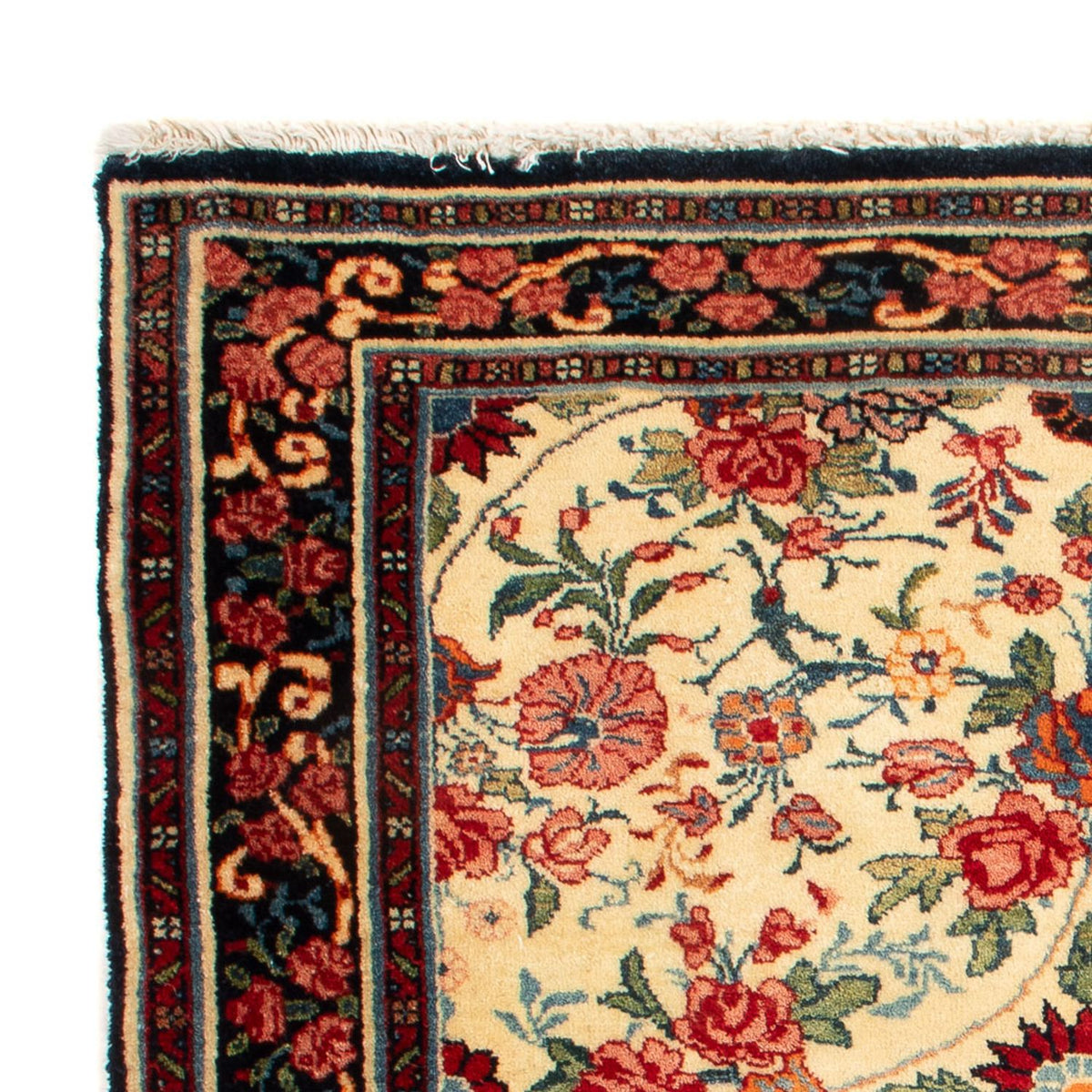 Tappeto Persero - Bidjar quadrato  - 70 x 70 cm - crema