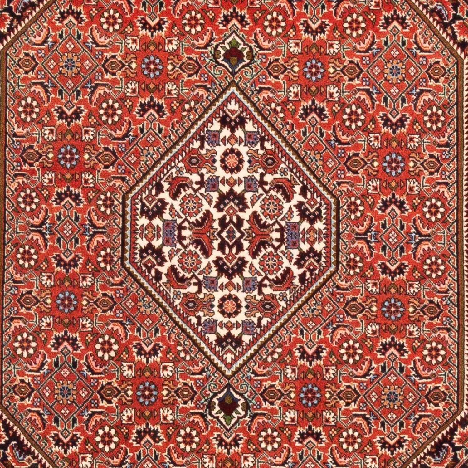 Tappeto Persero - Bidjar - 169 x 113 cm - rosso